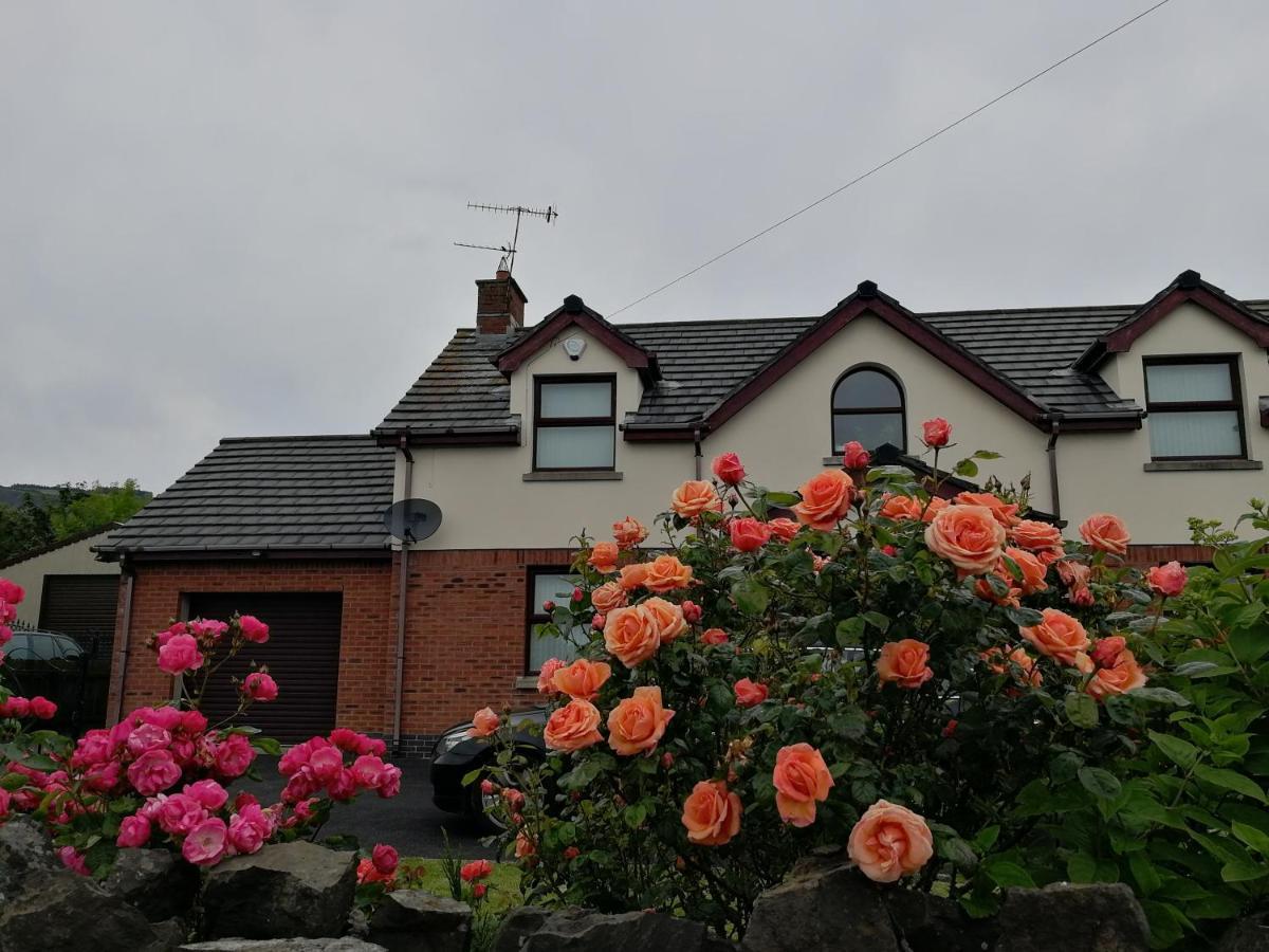 Fox Heaven B&B Carrickfergus Luaran gambar